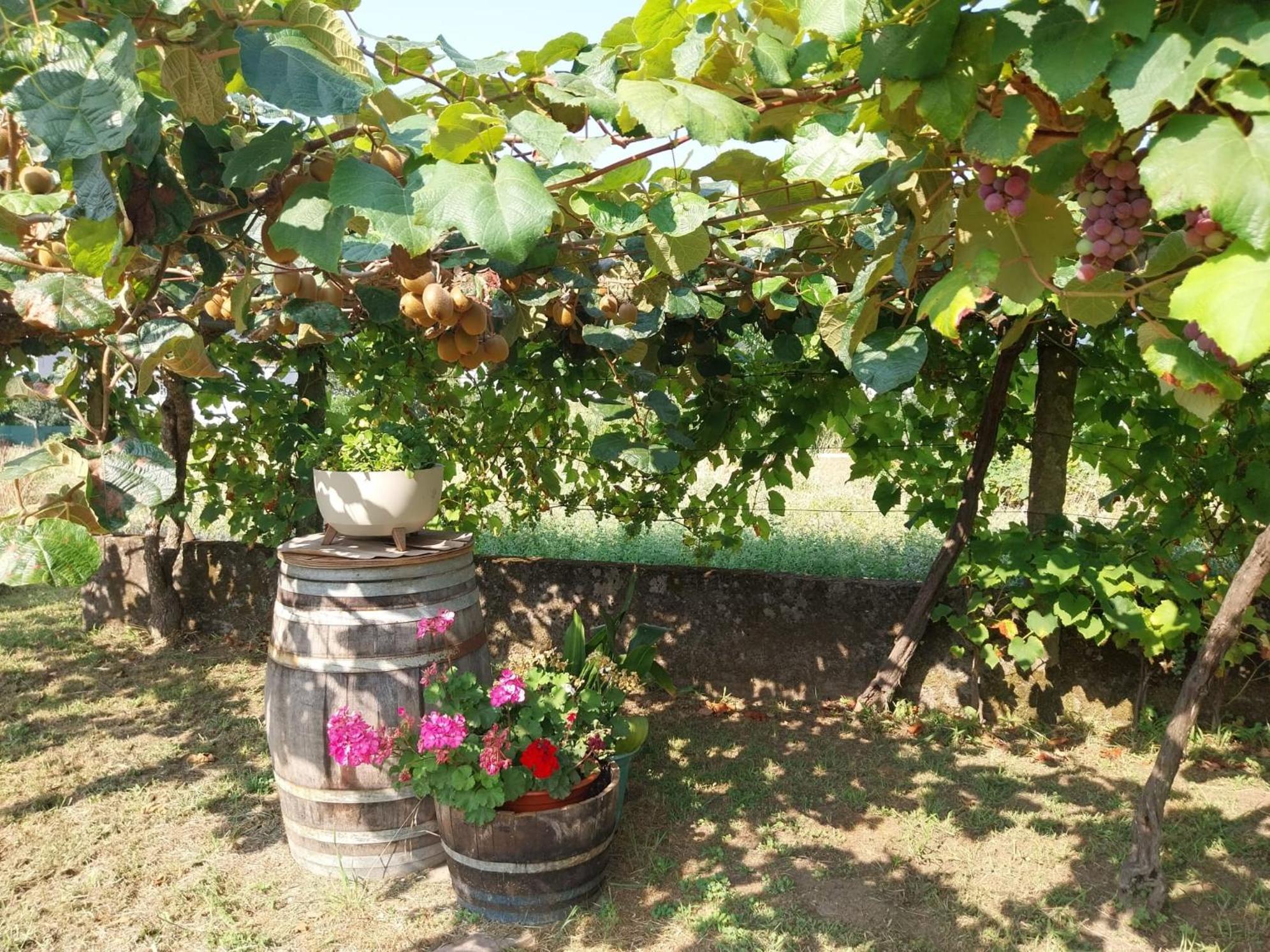 O Berce Padron Casa Rural Exteriör bild